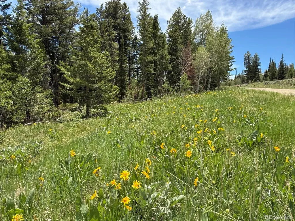 Spring Creek Ranch Road Silverthorne CO 80498