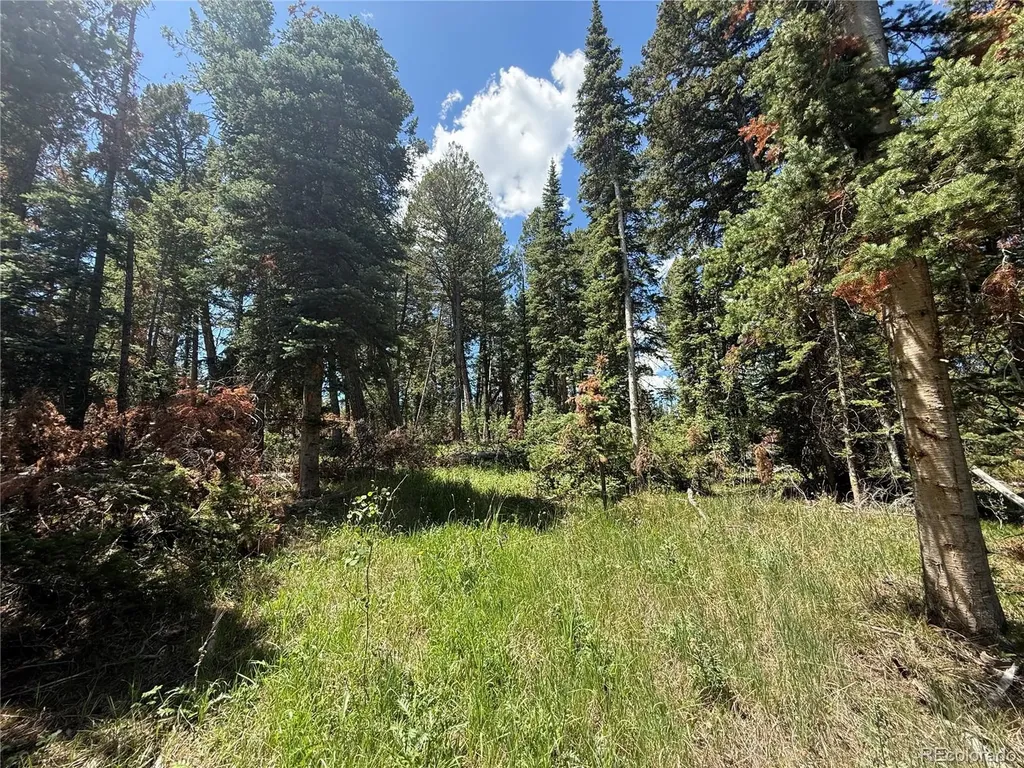 Spring Creek Ranch Road Silverthorne CO 80498