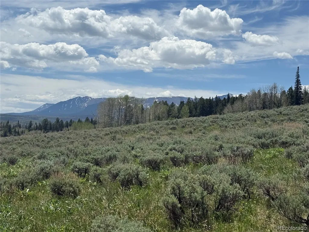 Spring Creek Ranch Road Silverthorne CO 80498