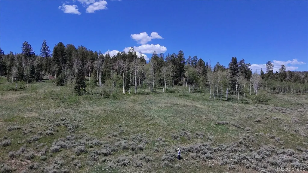 Spring Creek Ranch Road Silverthorne CO 80498