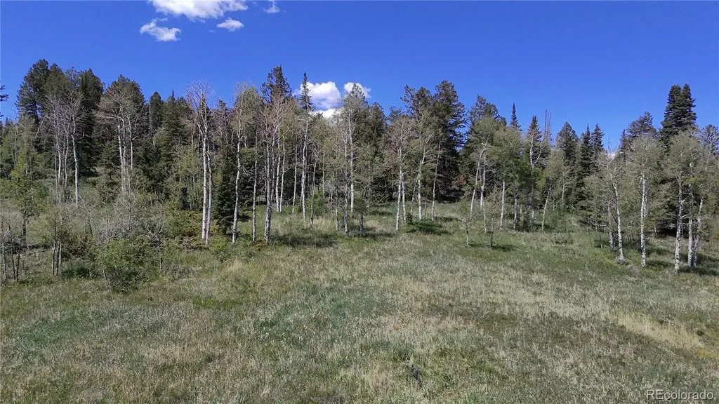 Spring Creek Ranch Road Silverthorne CO 80498