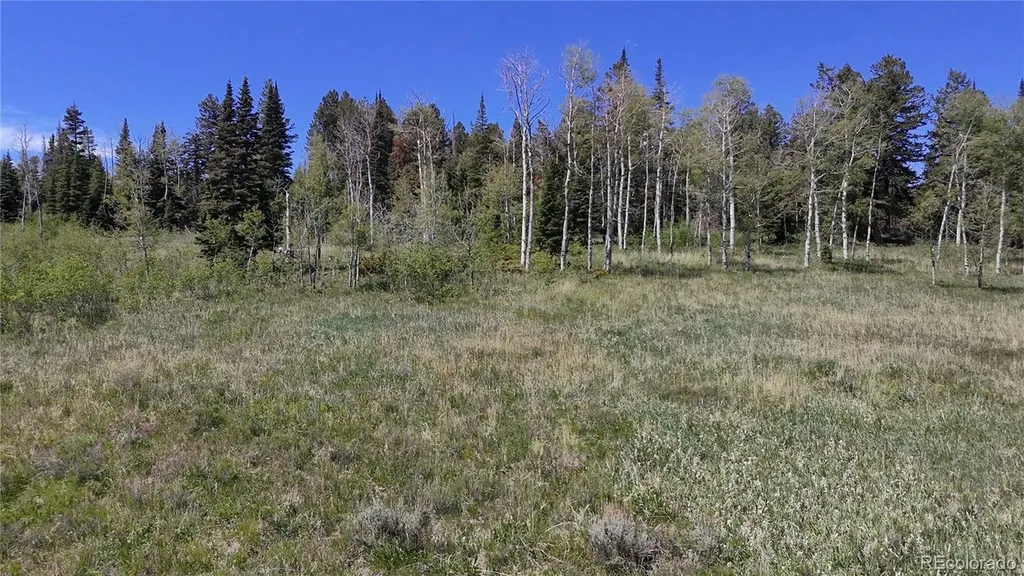 Spring Creek Ranch Road Silverthorne CO 80498