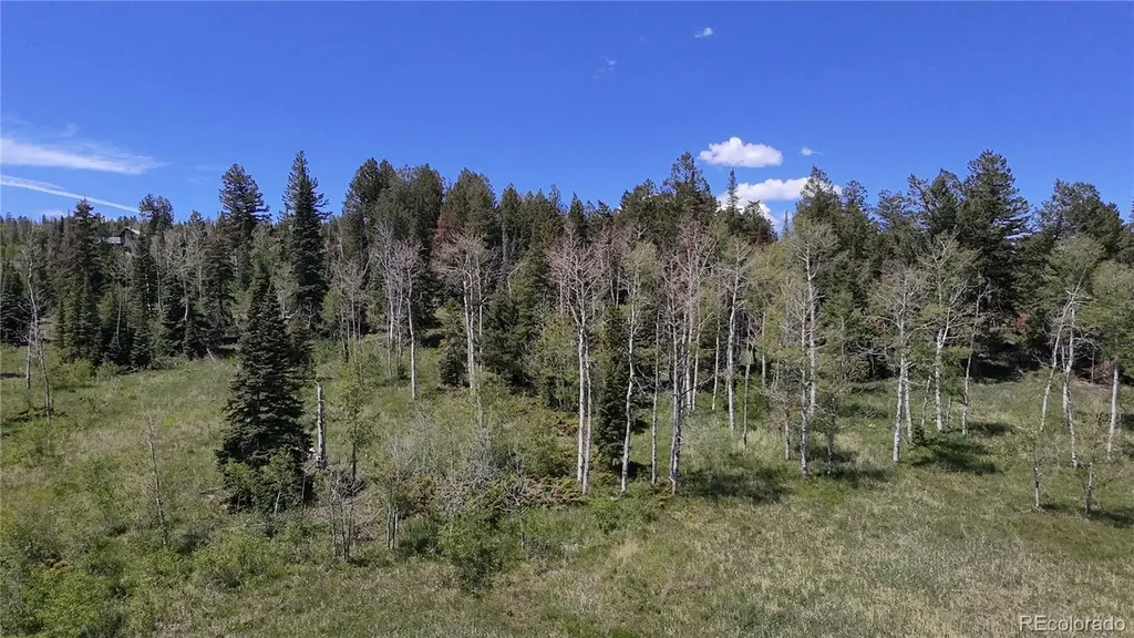 Spring Creek Ranch Road Silverthorne CO 80498