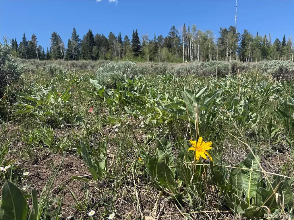 Spring Creek Ranch Road Silverthorne CO 80498