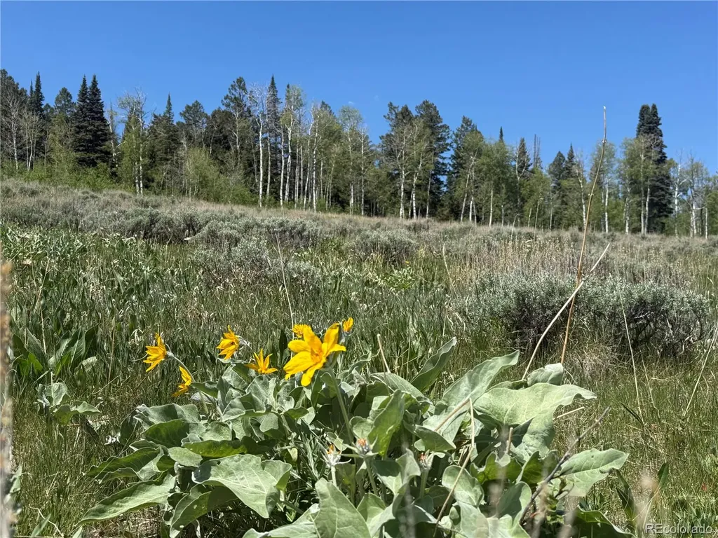 Spring Creek Ranch Road Silverthorne CO 80498