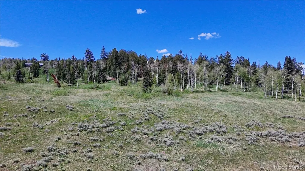 Spring Creek Ranch Road Silverthorne CO 80498