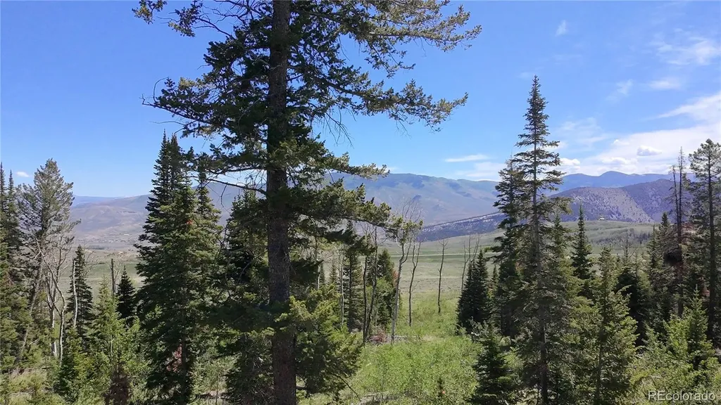 Spring Creek Ranch Road Silverthorne CO 80498