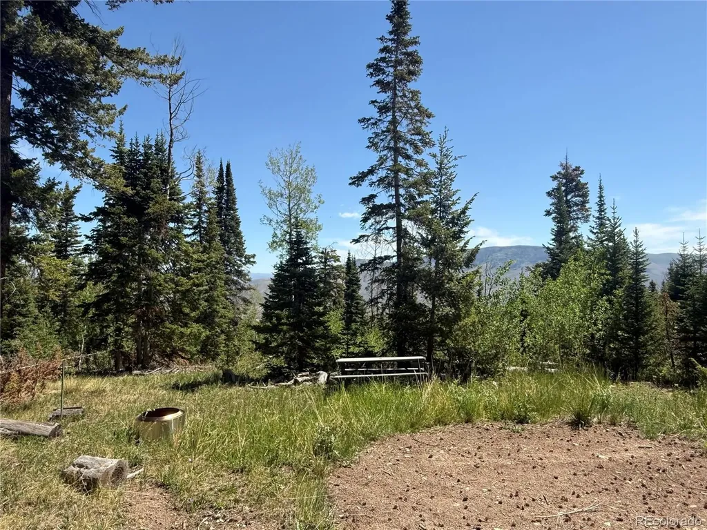 Spring Creek Ranch Road Silverthorne CO 80498