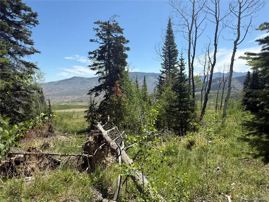 Spring Creek Ranch Road Silverthorne CO 80498