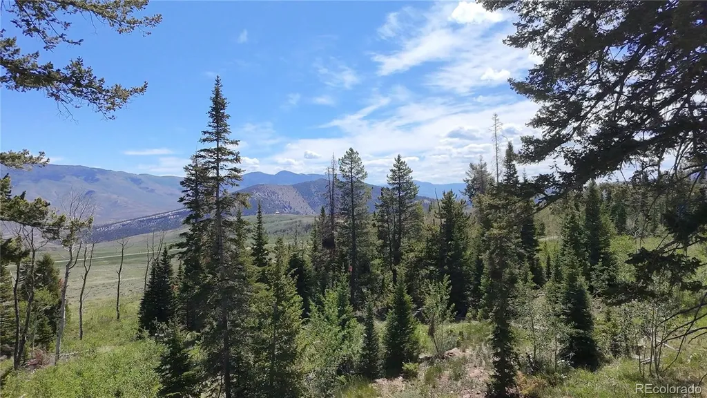 Spring Creek Ranch Road Silverthorne CO 80498