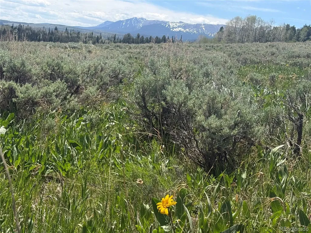 Spring Creek Ranch Road Silverthorne CO 80498