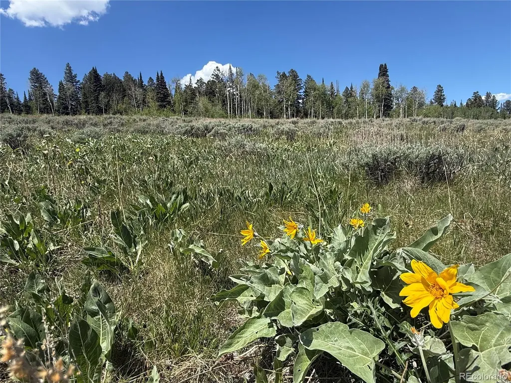 Spring Creek Ranch Road Silverthorne CO 80498