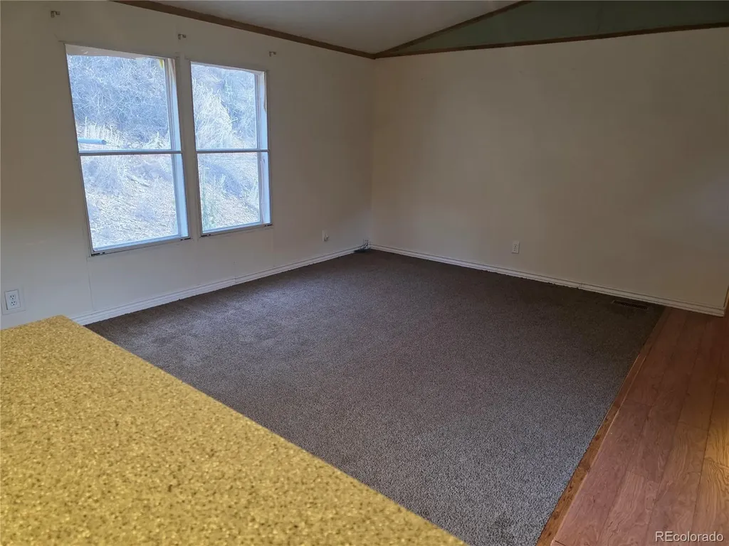 598 County Road 12 Cotopaxi CO 81223