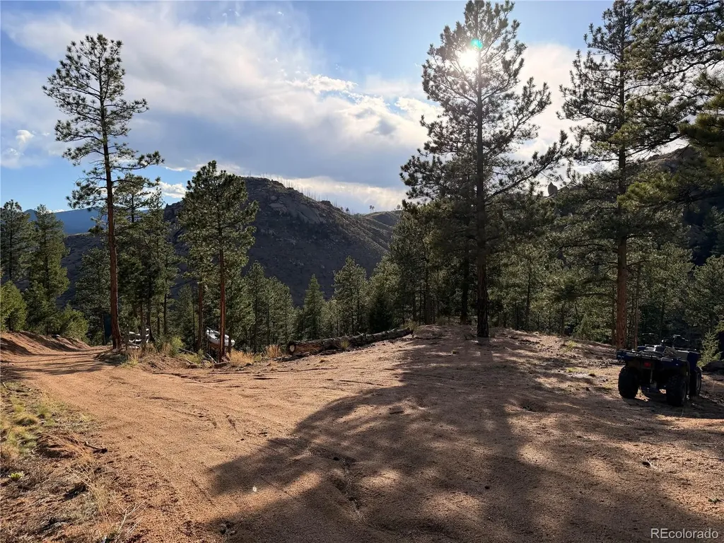 16280 Cochise Trail Pine CO 80470