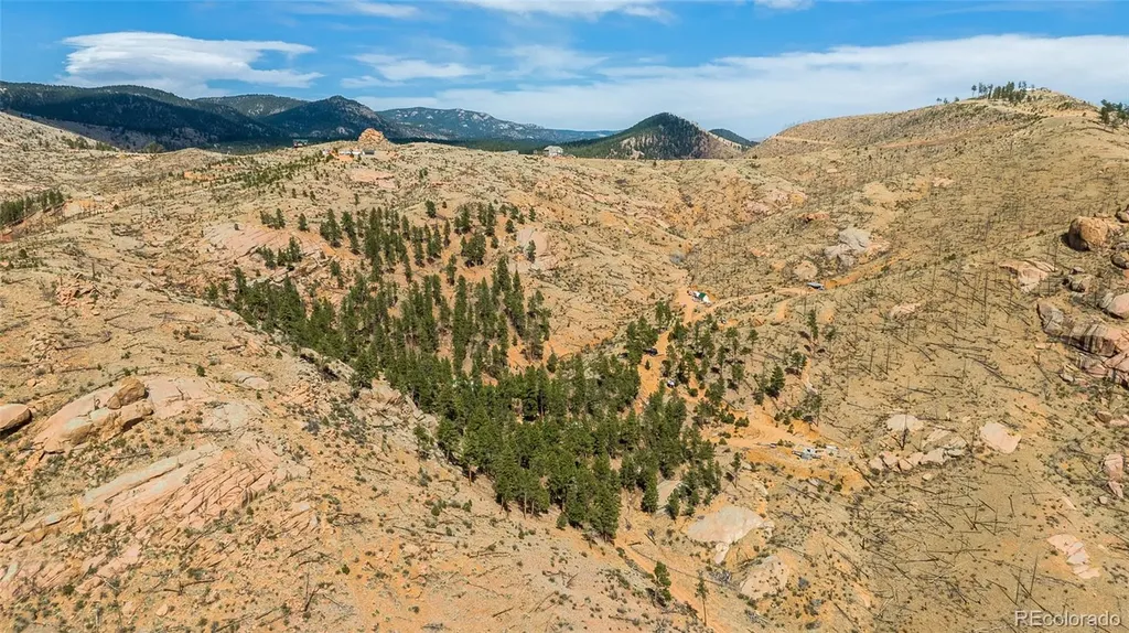 16280 Cochise Trail Pine CO 80470