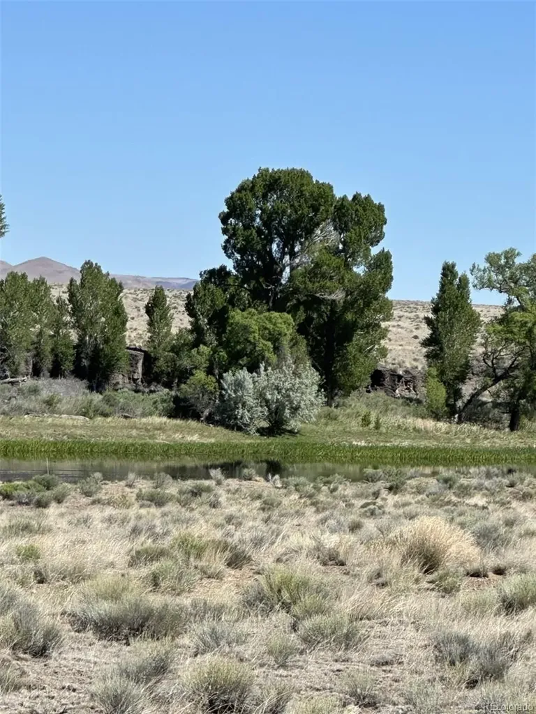 Ouray Road San Luis CO 81152