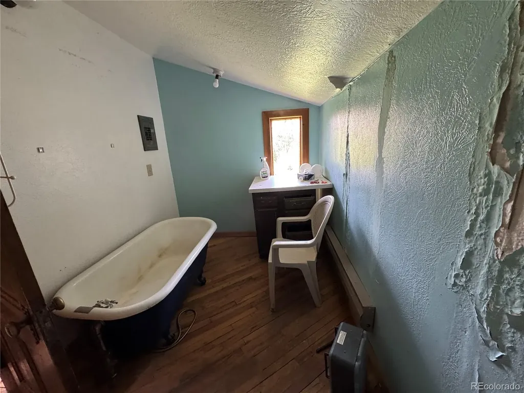 518 E 7th Street Leadville CO 80461