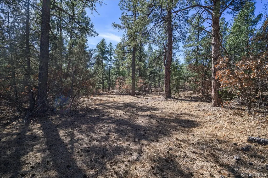 17990 King Road Weston CO 81091