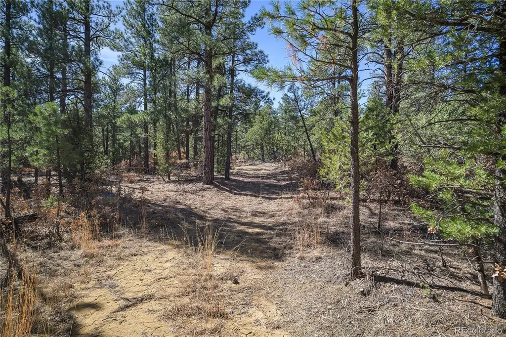 17990 King Road Weston CO 81091