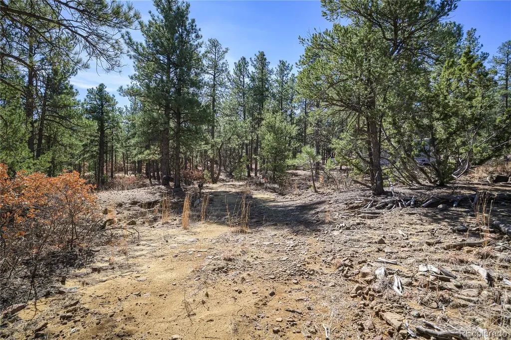 17990 King Road Weston CO 81091