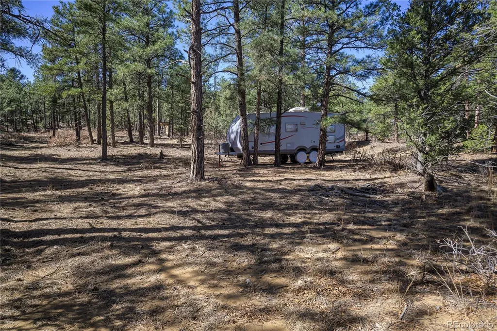 17990 King Road Weston CO 81091