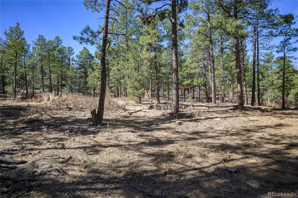 17990 King Road Weston CO 81091