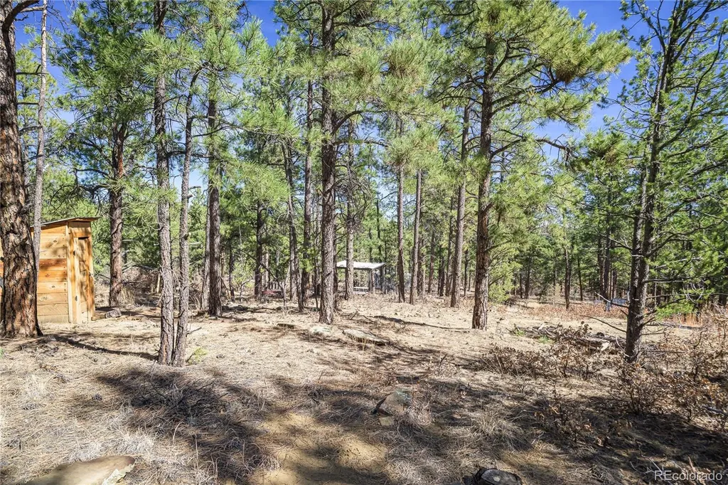 17990 King Road Weston CO 81091