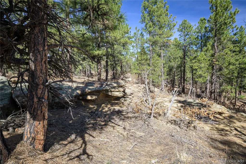 17990 King Road Weston CO 81091
