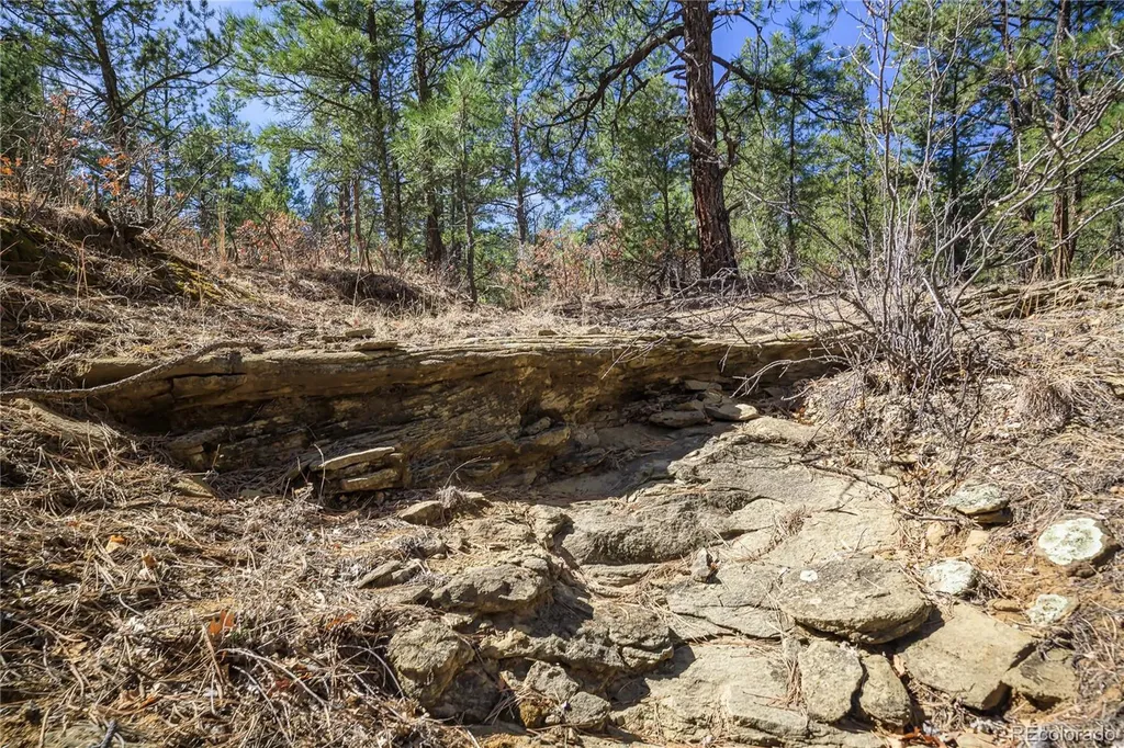 17990 King Road Weston CO 81091