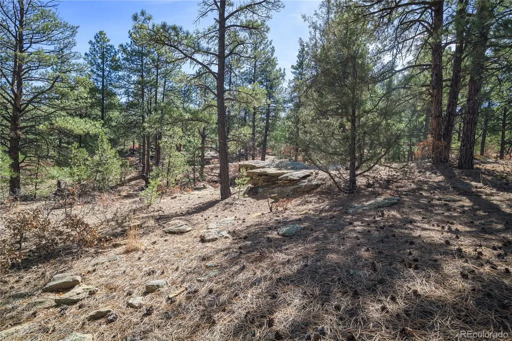 17990 King Road Weston CO 81091