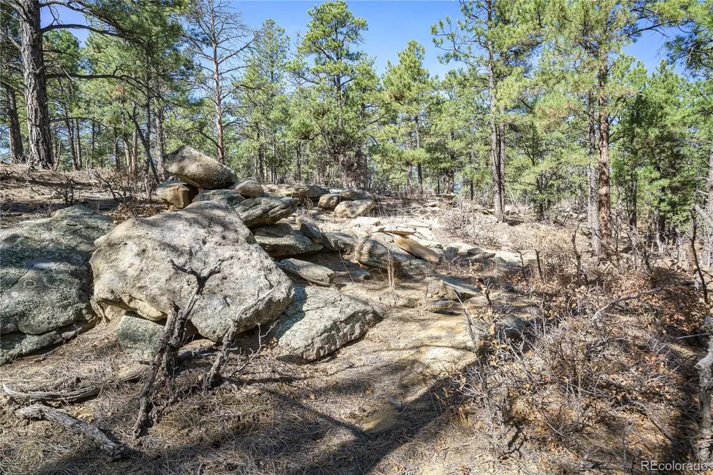 17990 King Road Weston CO 81091