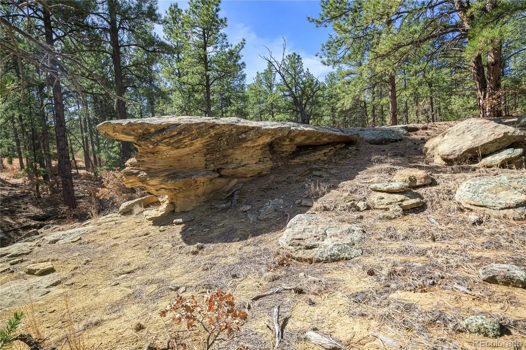 17990 King Road Weston CO 81091