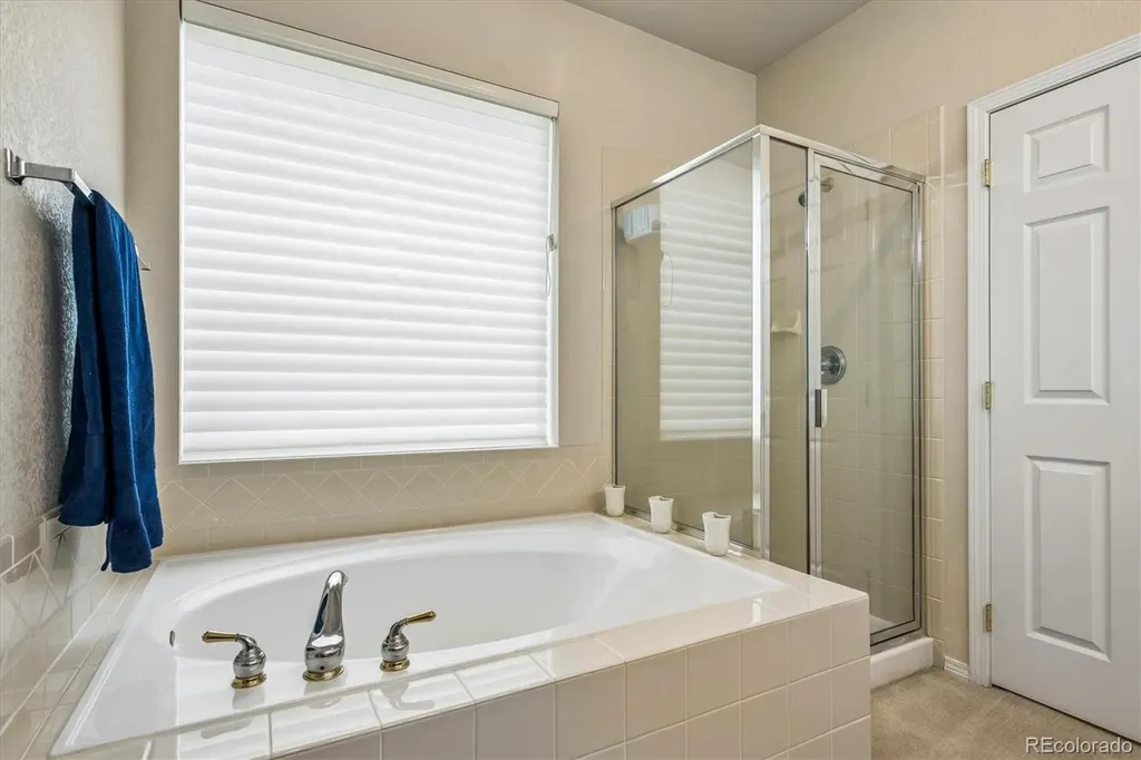 10019 Boca Circle Parker CO 80134