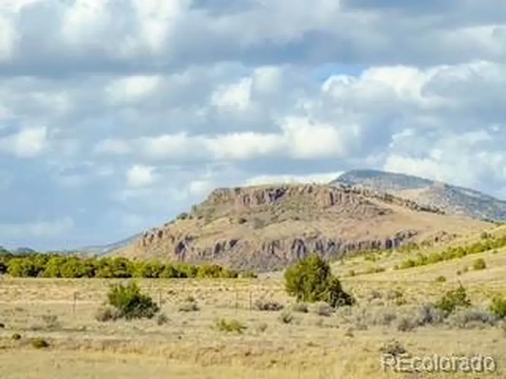 553 E Pfeiffer Loop South Fork CO 81154