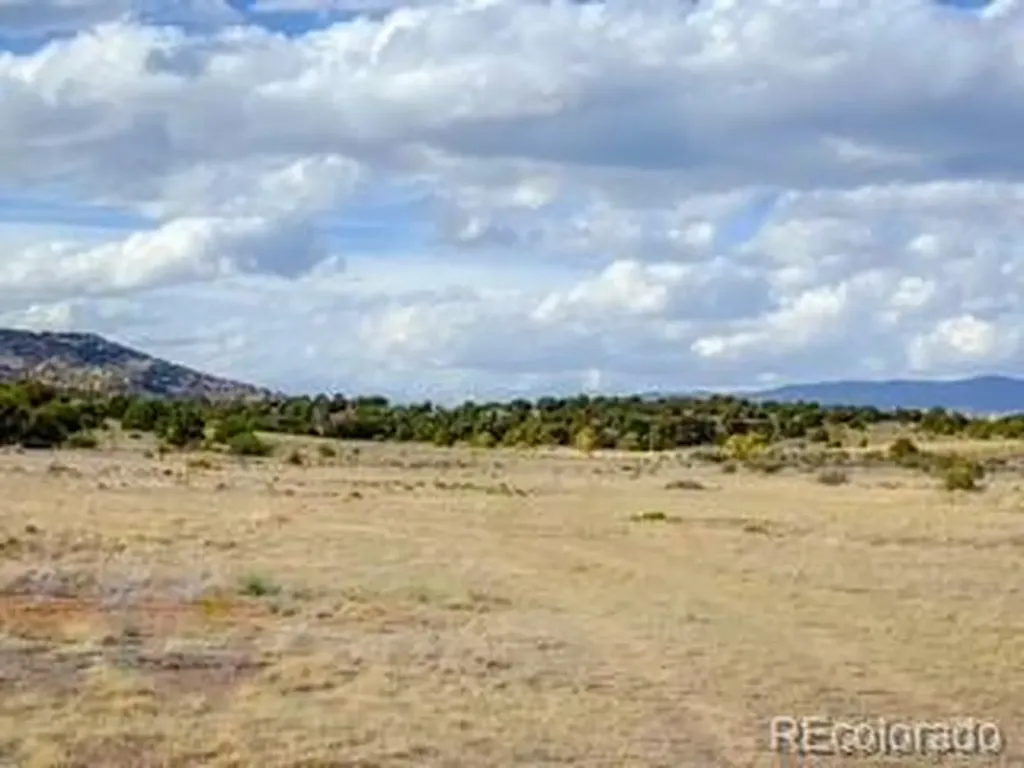 553 E Pfeiffer Loop South Fork CO 81154