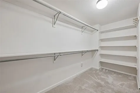 7444 Indian Wells Cove Lone Tree CO 80124