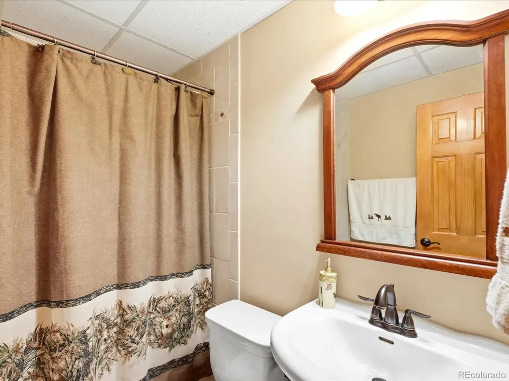 11743 Braun Way Conifer CO 80433
