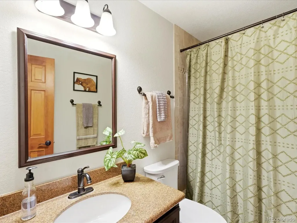 11743 Braun Way Conifer CO 80433