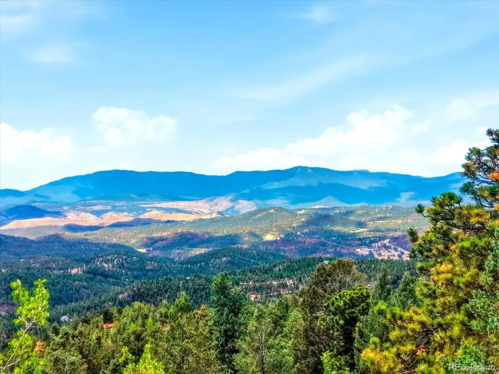 11743 Braun Way Conifer CO 80433