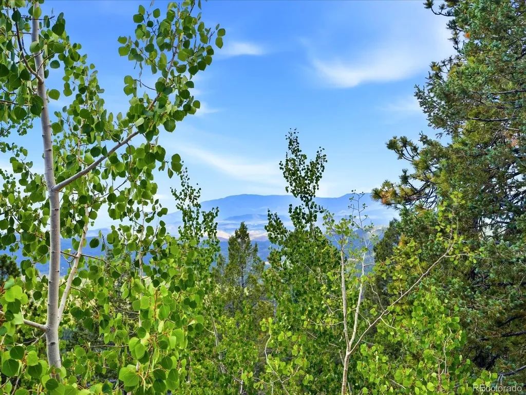 11743 Braun Way Conifer CO 80433