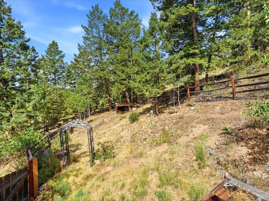 11743 Braun Way Conifer CO 80433