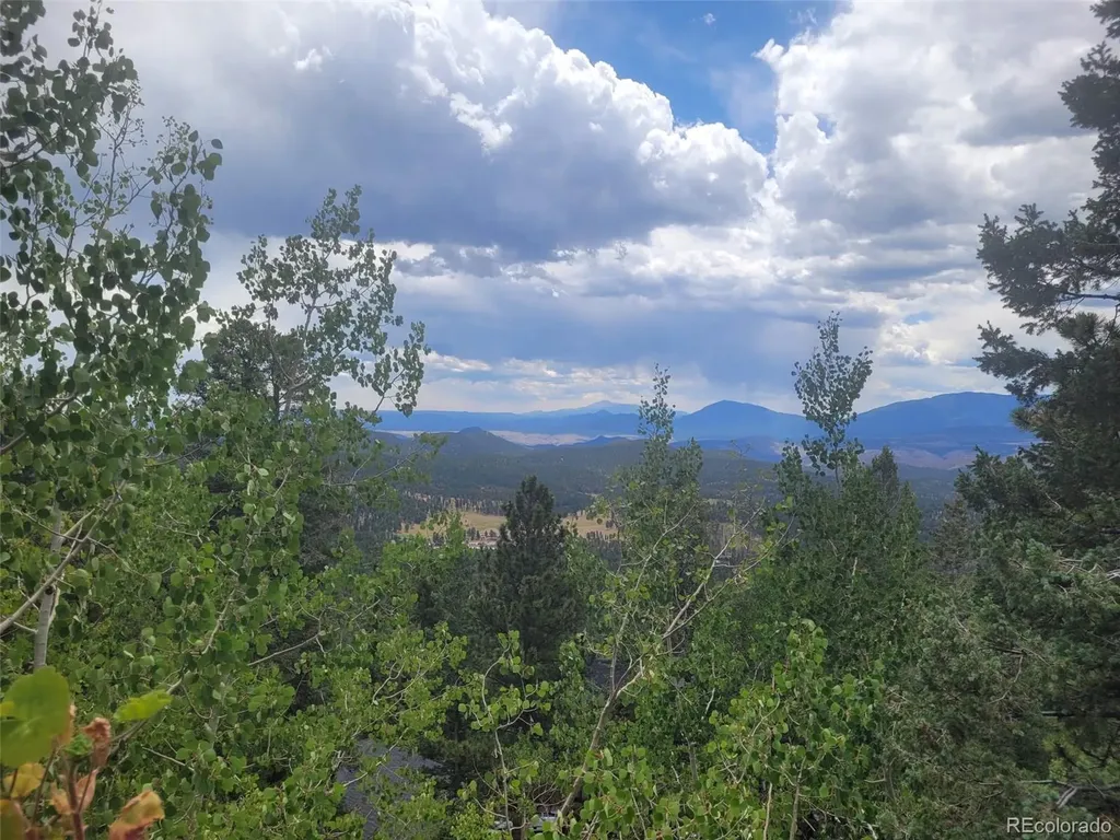 11743 Braun Way Conifer CO 80433