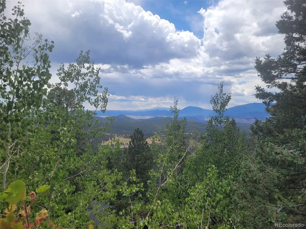 11743 Braun Way Conifer CO 80433
