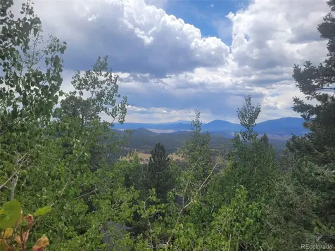 11743 Braun Way Conifer CO 80433