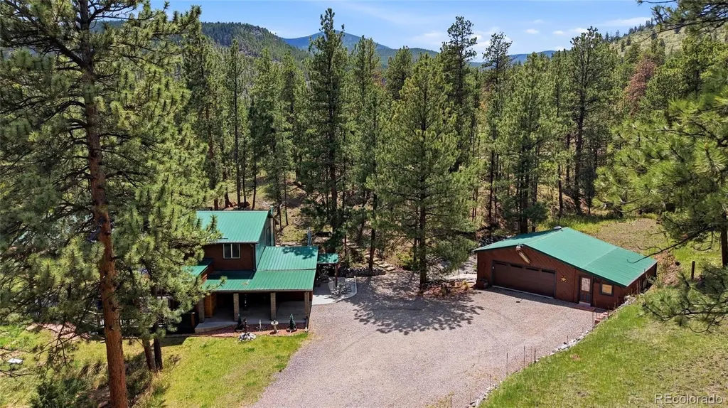 102 Insmont Drive Bailey CO 80421