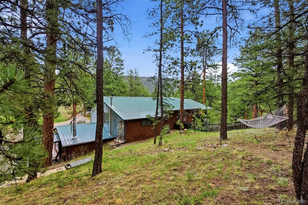 102 Insmont Drive Bailey CO 80421
