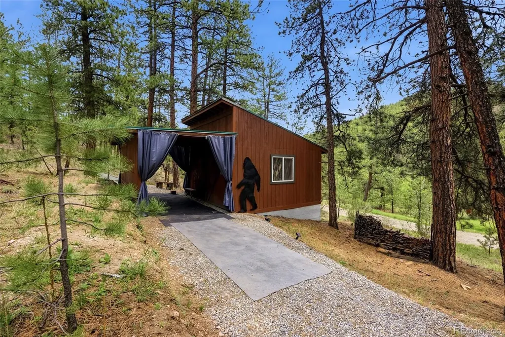 102 Insmont Drive Bailey CO 80421