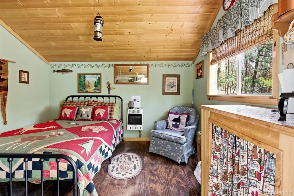 102 Insmont Drive Bailey CO 80421