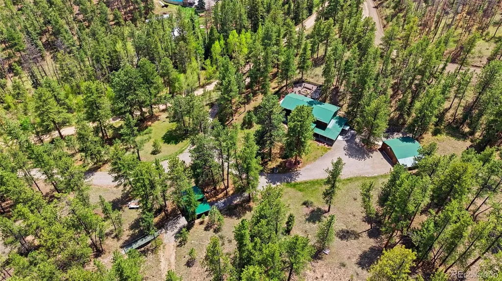 102 Insmont Drive Bailey CO 80421
