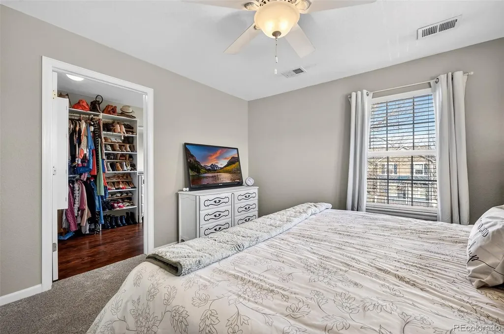 1509 Gold Hill Street Castle Rock CO 80109